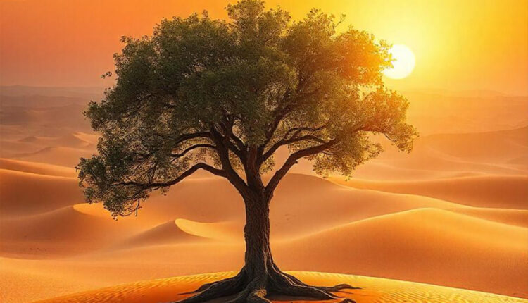Solitude in Bloom